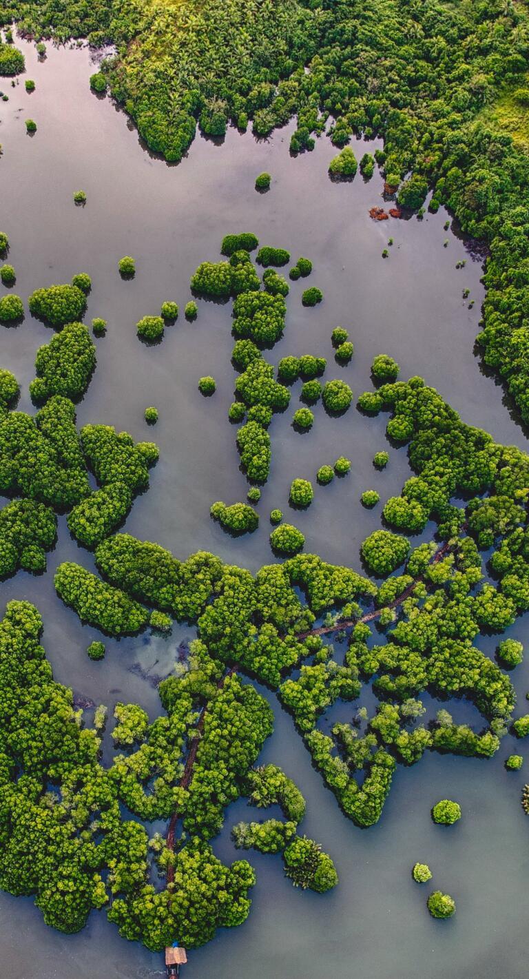 Presidenta propone nueva ley ambiental para proteger el medio ambiente 3 climatico proteccion ecosistemas