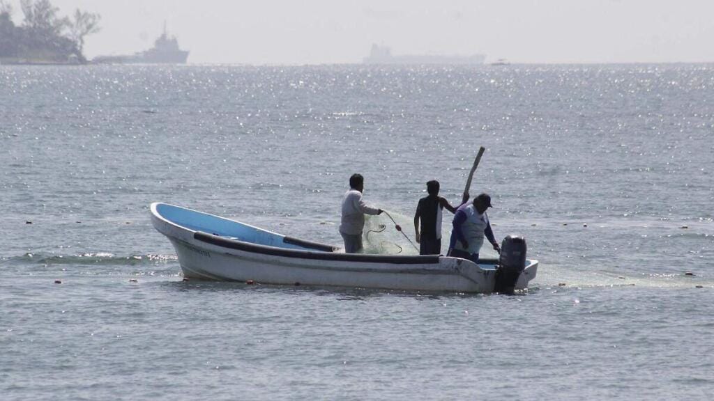 El impactante fallo de la Suprema Corte que alegra a las pescadoras de Alvarado, pero genera miedo en el puerto por nuevos trámites ¡Descubre por qué! 1 el impactante fallo de la suprema corte que alegra a las pescadoras de alvarado