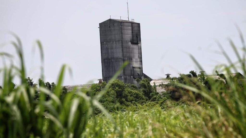 El sorprendente plan que podría revivir el Ingenio San Pedro en Veracruz y salvar la próxima zafra 2026-2027 1 el sorprendente plan que podria revivir el ingenio san pedro en veracruz y salva