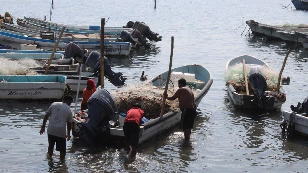 Pescadores de Alvarado enfrentan erosión y actualización de reglas de pesca 1 pescadores de alvarado enfrentan erosion y actualizacion de reglas de pesca