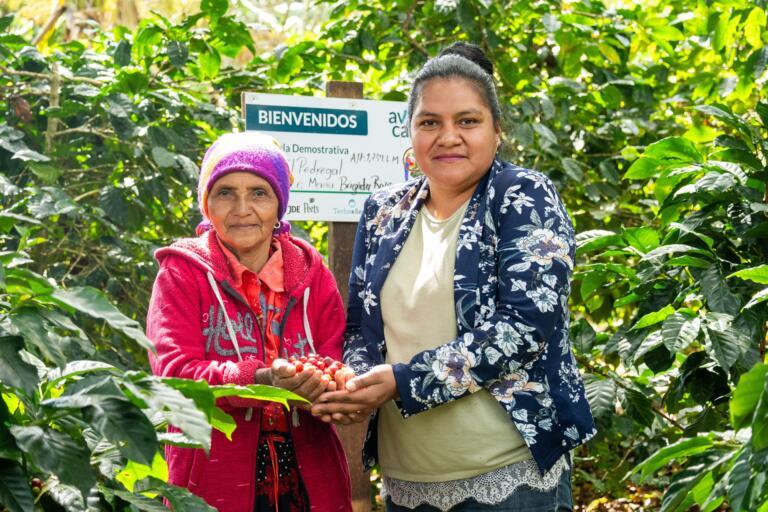México refuerza estrategia científica contra gusano barrenador 3 productoras secretarias agricultura