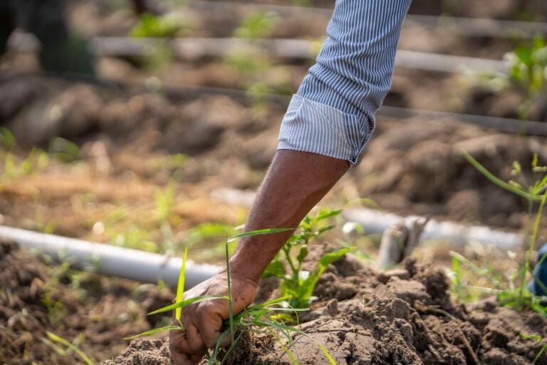 especificamente licenciatura agroecologia