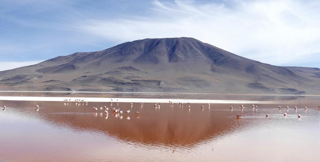 Oasis de Xalapa renace: laguna de El Castillo recupera atractivo turístico 2 laguna